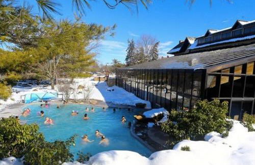 Luxe 10 guest Ski Cabin - Snowboarding Hiking Pools Golf Tennis - Foto 17