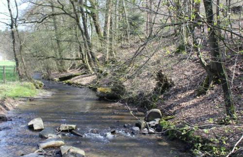 Apartment zum Eifgental by Interhome - Foto 21