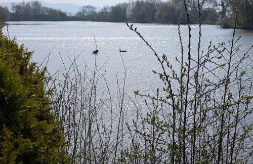 Lakefront Lodge with Hot Tub - Muscovy Lodge - Foto 12