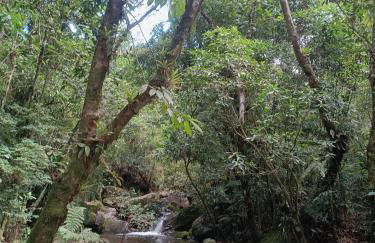 Chales Encanto do sol - Foto 4