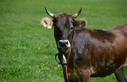 Alex Bergblick - Foto 14