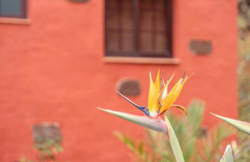 Montaña De Aguarijo El Hierro - Foto 27