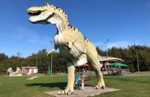 Dom Wakacyjny Złoto Północy na wyłączność, parking, plac zabaw, tarasy - Foto 39