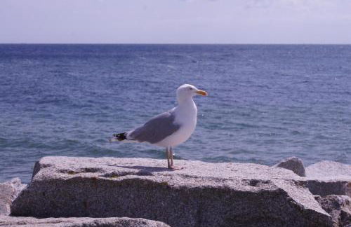 HeimatHafen & Meer - Foto 35