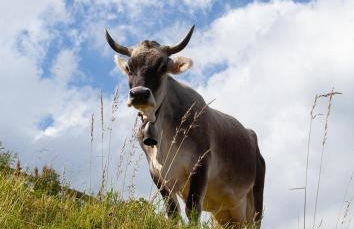 L'Écrin Vue Lac 3 étoiles - Parking gratuit, Calme & confort - Photo 47