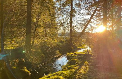 The Bridge - between NewZealand & OreMountains - Foto 54