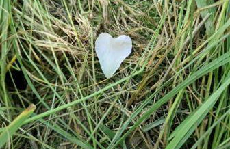 Ferienwohnung in Winterlingen - Foto 25