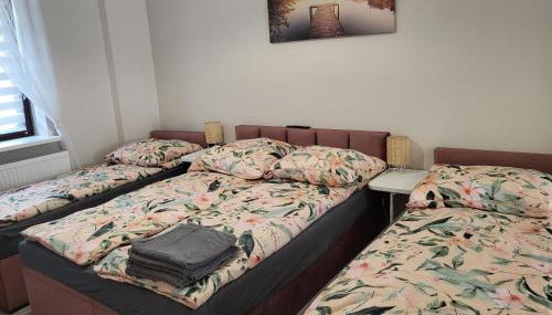 Pokój z własną kuchnią i łazienką Żyrardów SUNTAGO - Foto 5