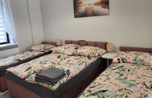 Pokój z własną kuchnią i łazienką Żyrardów SUNTAGO - Foto 5