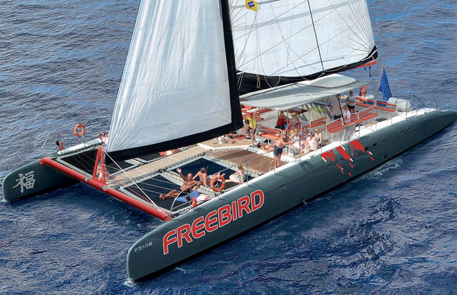 Freebird Katamaran - Direkt - Foto 1
