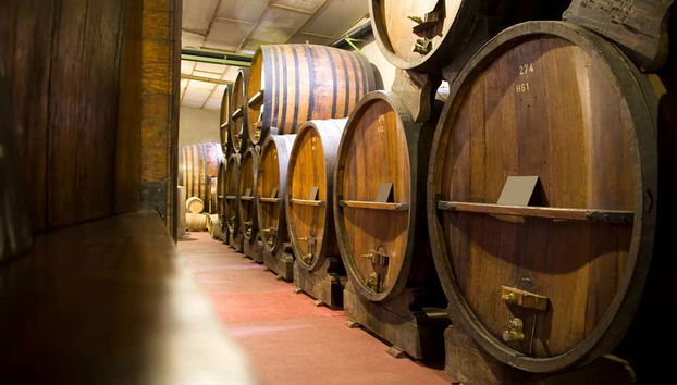 Tour de viñedos y bodegas - Foto 2