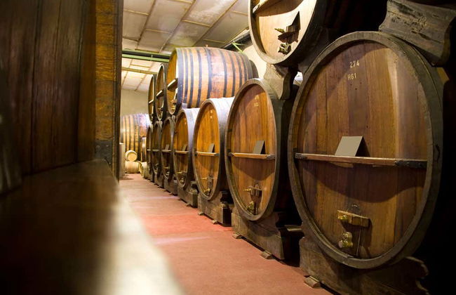 Wine Tasting and Winery Tour - Foto 1