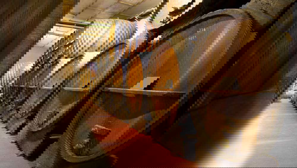 Wine Tasting and Winery Tour - Foto 1