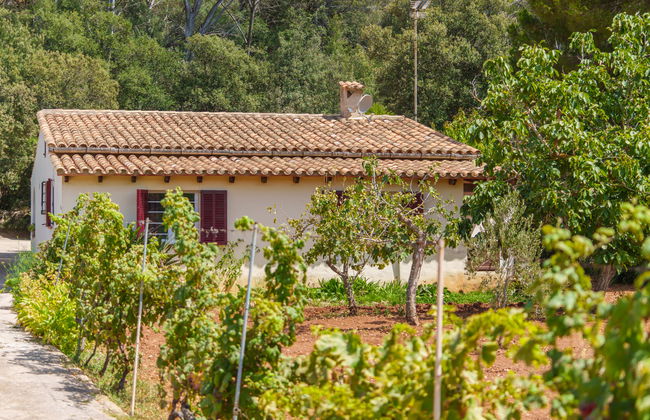 Ullastro Pollença - Foto 36