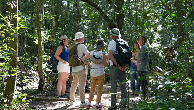 Minca Day Trip - Foto 3, Hike through the jungle