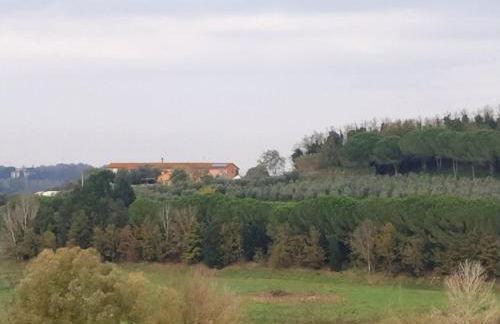 Agriturismo L'isola - Foto 62