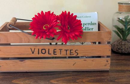 Les Perles du Ried - Gîte 2 proche Europapark Strasbourg Colmar - Foto 15