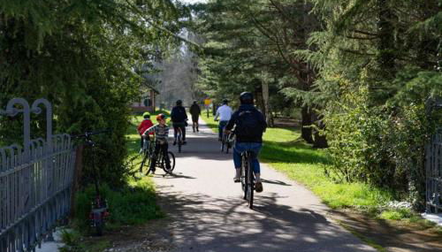 Les Capucins - Foto 2