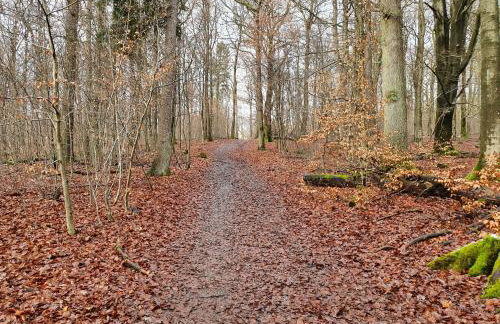 Natur-Design "Platzhirsch Sauerland" - Sauna, Kamin, Balkon, Garten, Hütte, Grill - Foto 67