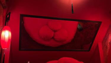 La Séduisante - Foto 4