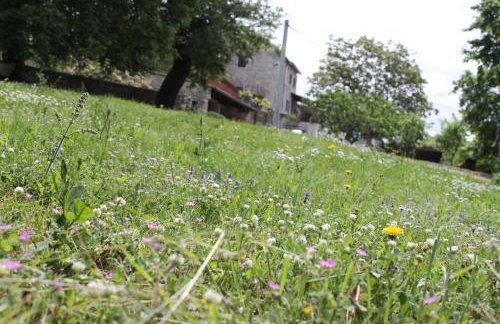 Apartments Mestri - Foto 30