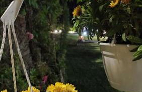 Altera Vita - Foto 71