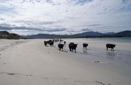 Balnakeil House - Foto 6