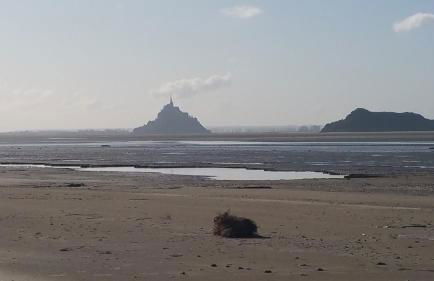 ESCAPADE EN BAIE 3étoiles - Foto 16