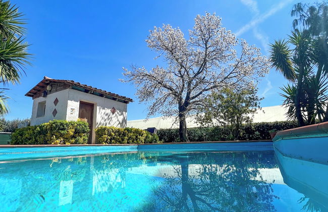 Tenuta Fasanarella - Foto 56