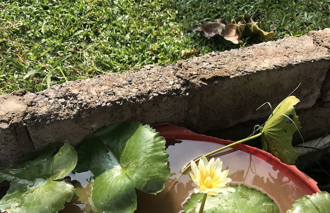 Aiden Court - Photo 1