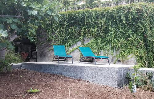 Avó Lucindinha House - Porto Moniz - Foto 39