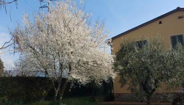 Appartamento Oliver - Foto 3