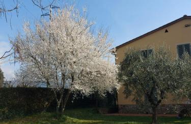 Appartamento Oliver - Foto 3