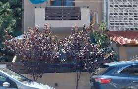 PERLA apartments - Photo 19