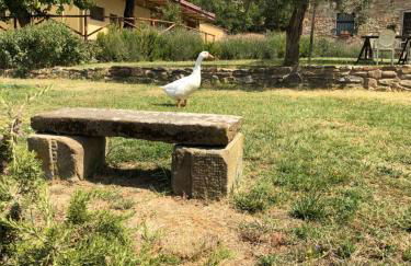 Agriturismo La Posta Reale - Foto 35