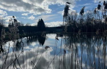 Mare aux nénuphars - Foto 44