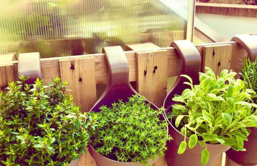 CA' DEL SOLE ITALIA - Attico Panoramico in Centro Storico - Photo 50