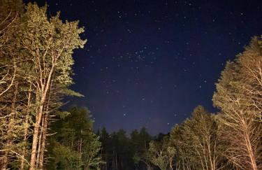 Luxe Modern Cabin with Pond, Fire Pit, Hiking, near Bethel Woods - Foto 31