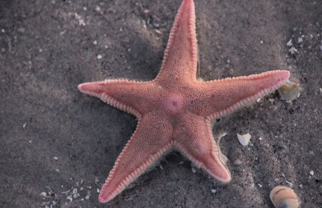 "Grep" - 800m from the sea - Foto 12