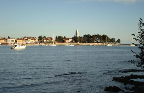 Guest House Mareda Palms - Photo 21