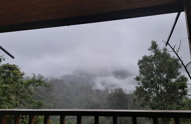 Sendero de las aves - Foto 14