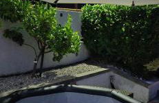 Villino Isabella - Foto 28