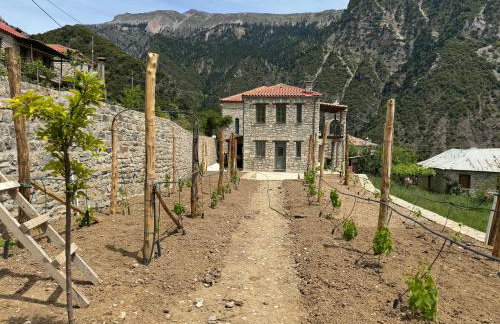 Χελιδόνα - Helidona - Foto 1