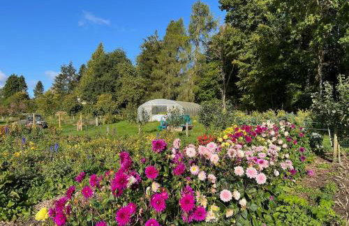 Wester Campsie Farm House - Foto 12