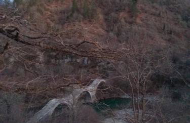 Estia Tsialiki - Foto 27