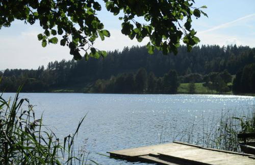 Dworek Telimena - Foto 31