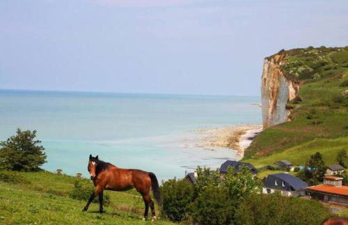 GitedesDalles 3 épis avec terrasse vue mer - Foto 26