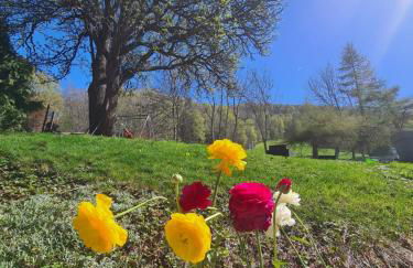 Hôtel et Appart'Hôtel Restaurant L'Adray - Foto 103