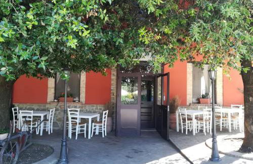 Società Agricola F.lli Angelucci - Foto 31