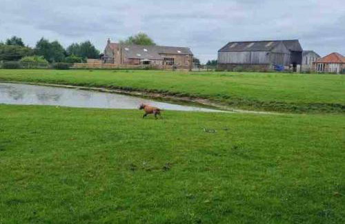 Granary cottage with HOT TUB - Foto 20